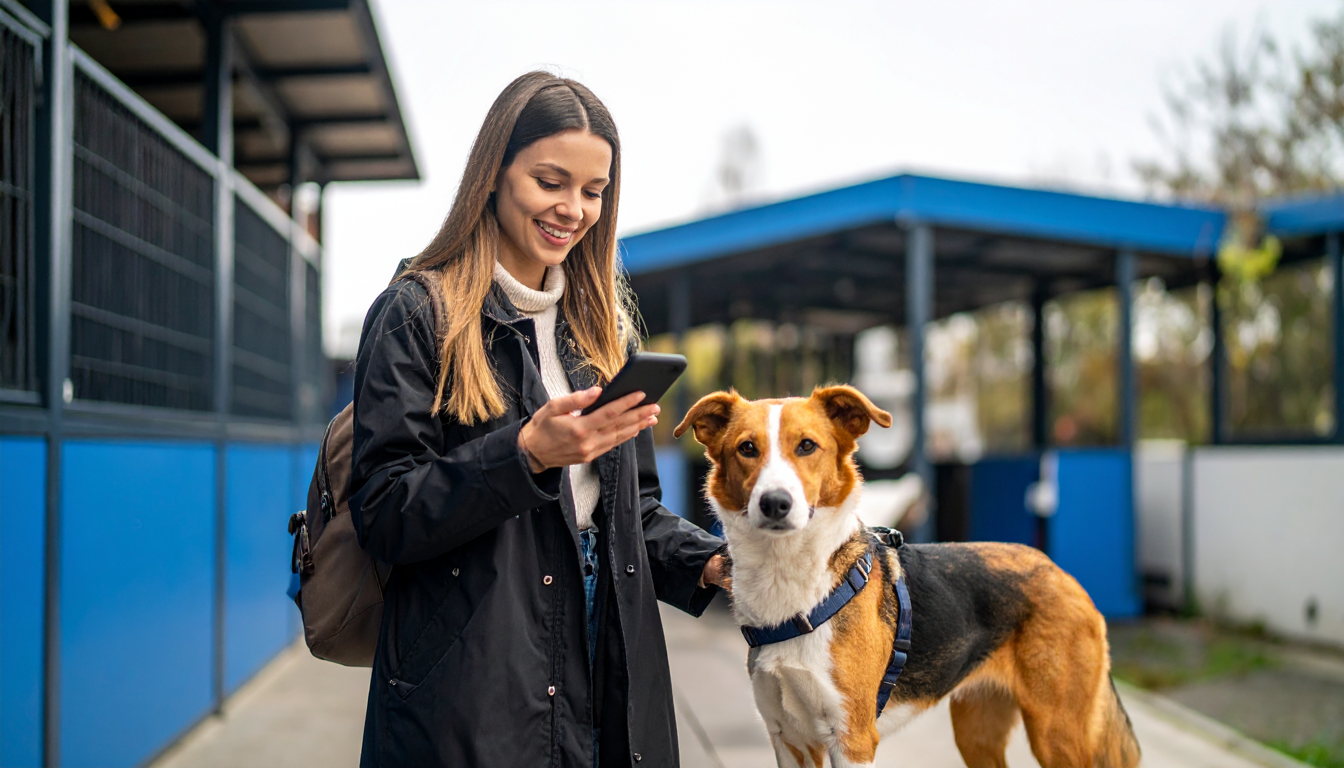 Contato Ponto dos Pets