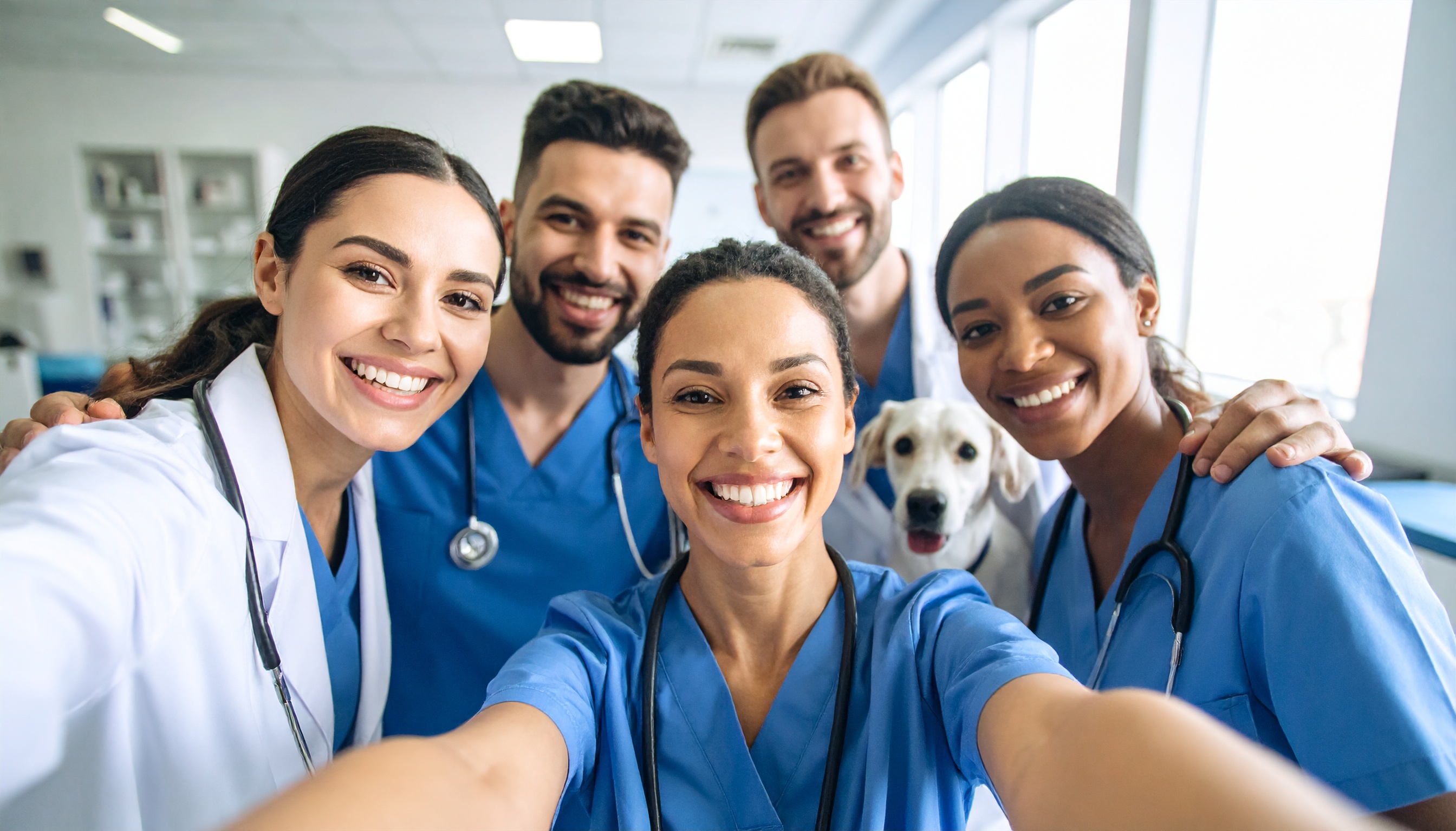 Ponto dos Pets - Slide 3